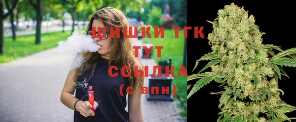 спайс Алексин